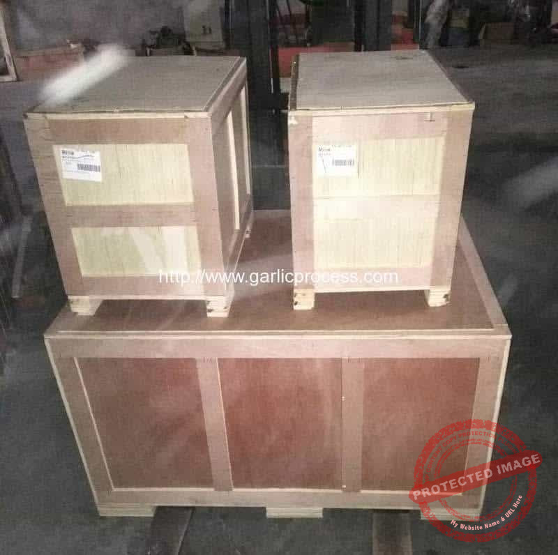 Garlic-Leaf-and-Stem-Cutting-Machine-and-Garlic-Clove-Separator-Machine-for-Australia